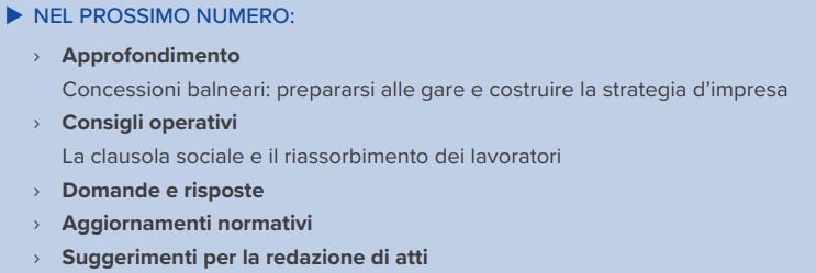 Le gare d’appalto. Strategie per le imprese – n.7/2024 2 gare 082024
