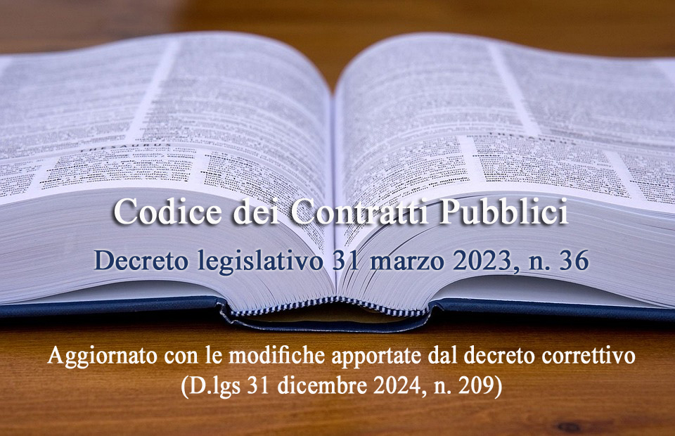 Codice Dei Contratti Pubblici 2024 Pdf